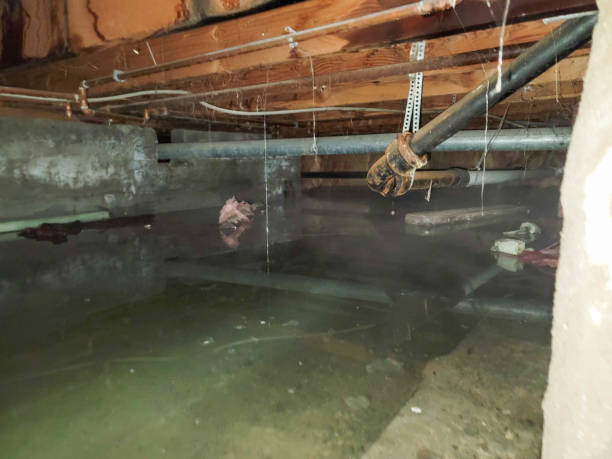 Best 24/7 water damage repair  in Waukee, IA