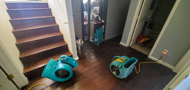 Best Water damage restoration insurance claims  in Waukee, IA