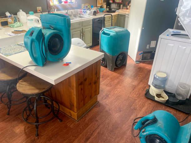 Best Carpet water damage restoration  in Waukee, IA