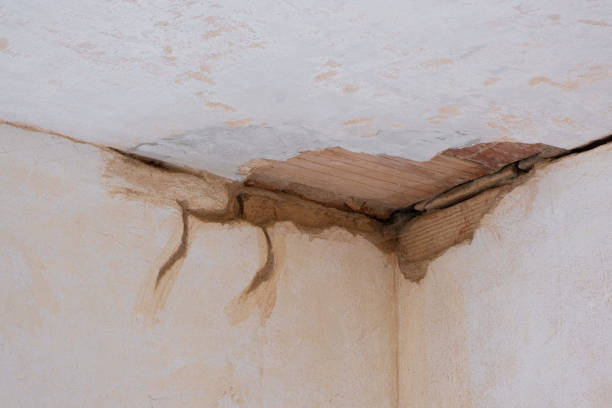 Best Mold removal after water damage  in Waukee, IA