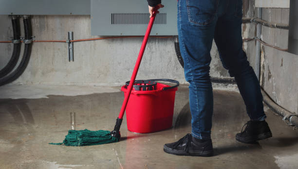 Best Local water damage restoration  in Waukee, IA