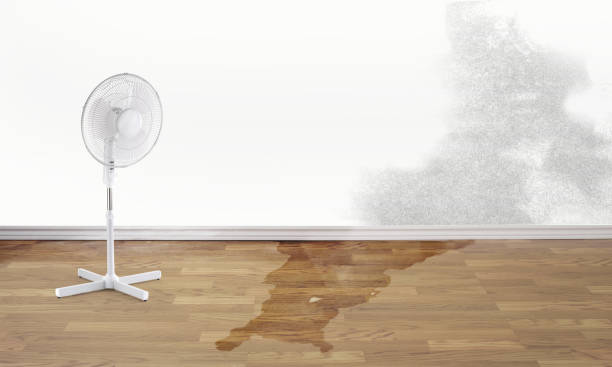 Best Water damage restoration near me  in Waukee, IA