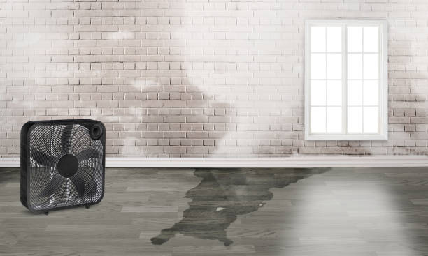 Best Water damage contractors near me  in Waukee, IA