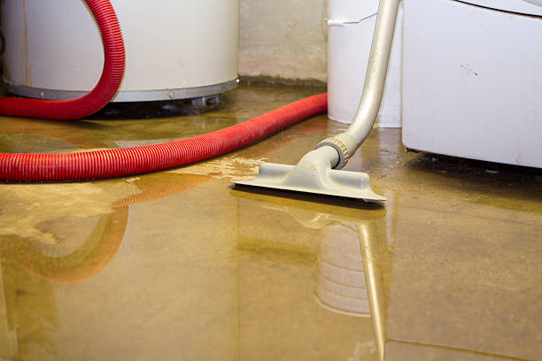 Best Flooded house restoration  in Waukee, IA