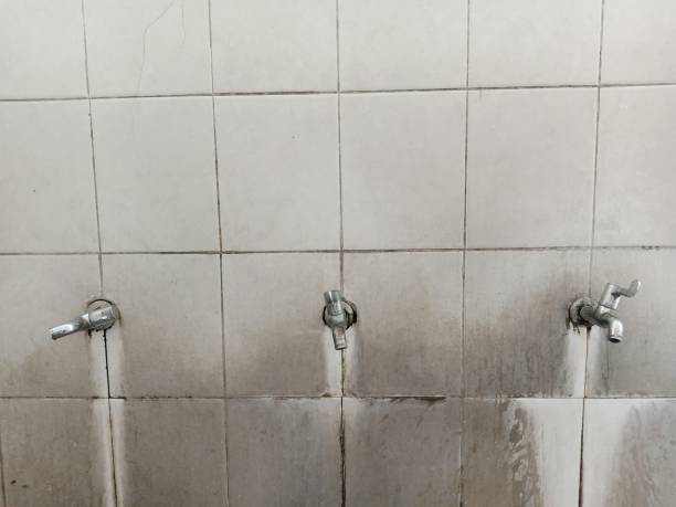  Waukee, IA Water damage restoration Pros
