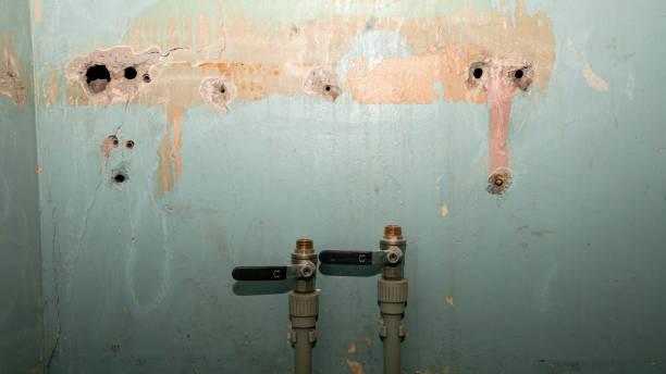 Best Ceiling water damage repair  in Waukee, IA