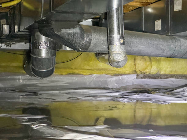 Best Flood damage cleanup  in Waukee, IA
