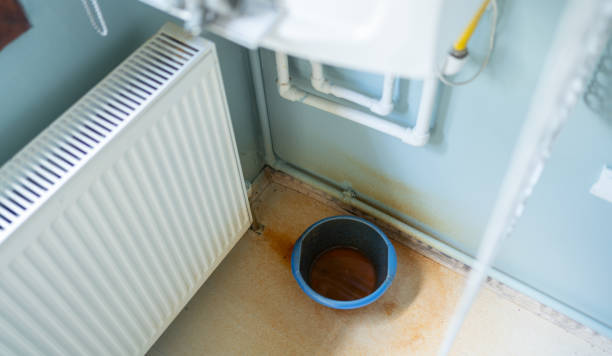 Best Mold removal after water damage  in Waukee, IA