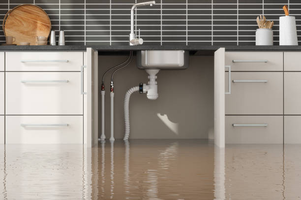 Best Professional water damage repair  in Waukee, IA